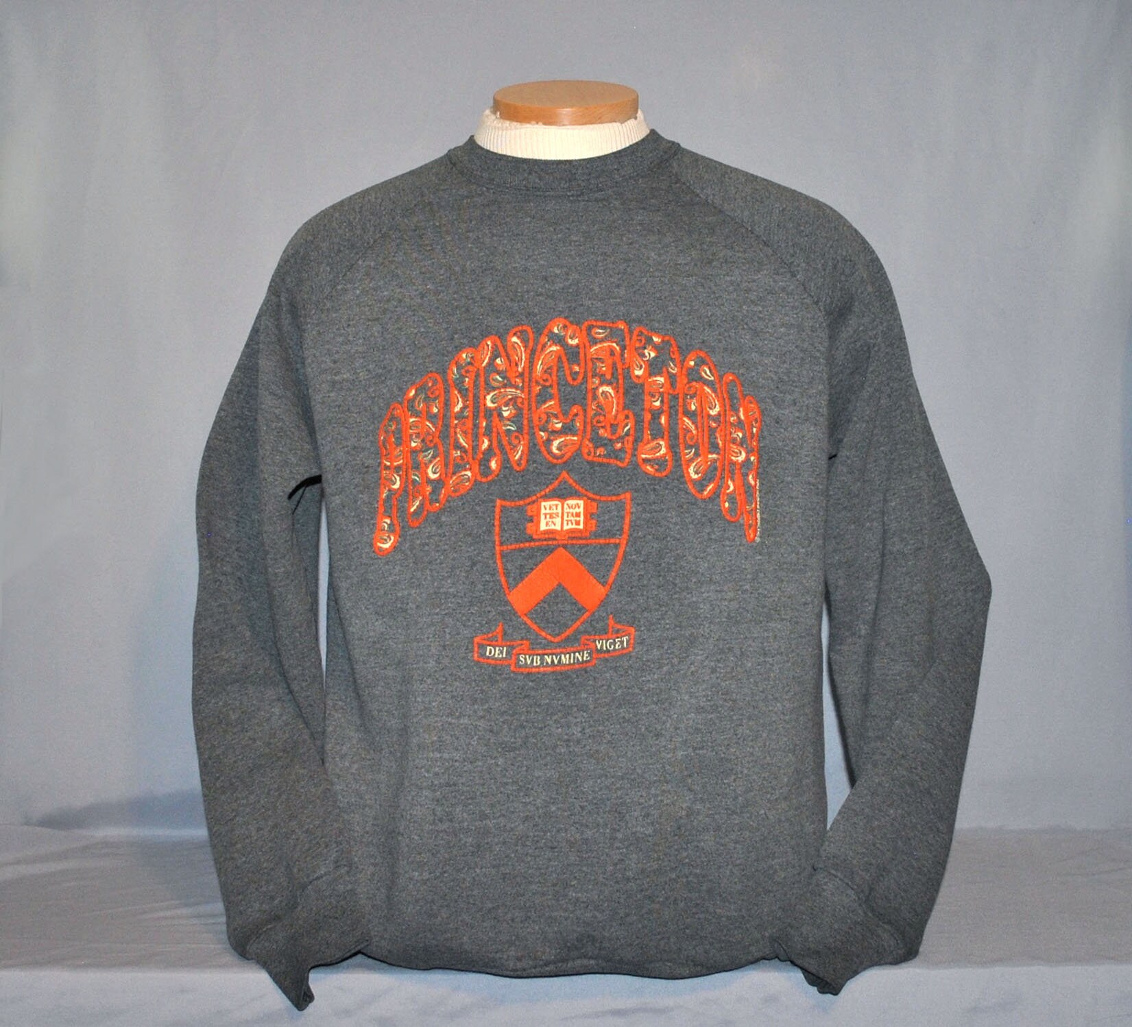 princeton vintage sweatshirt