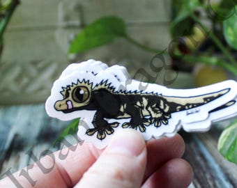 Crested Gecko Clear Vinyl Sticker