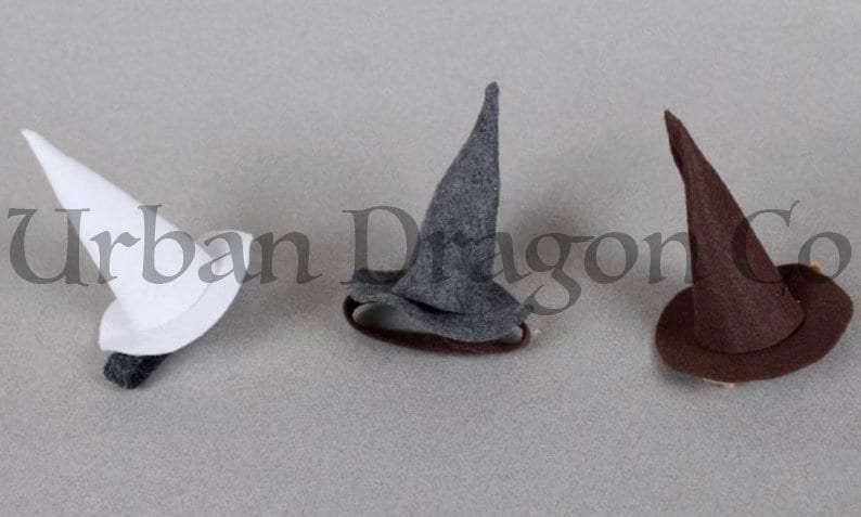 Wizard Lizard Bearded Dragon Costume - Etsy