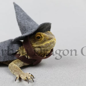 Wizard Lizard Bearded Dragon Costume