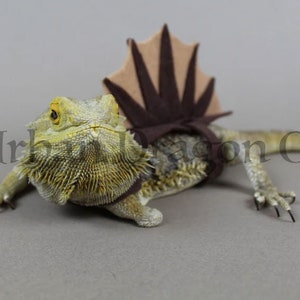 Spinosaurus Bearded Dragon/Lizard Costume