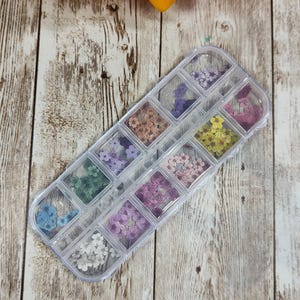 Micro Fiori di Carta set da 12 colori per Decorazioni e Resina - Kit Creativo per inserti e decorazioni per resina, nail art, miniature