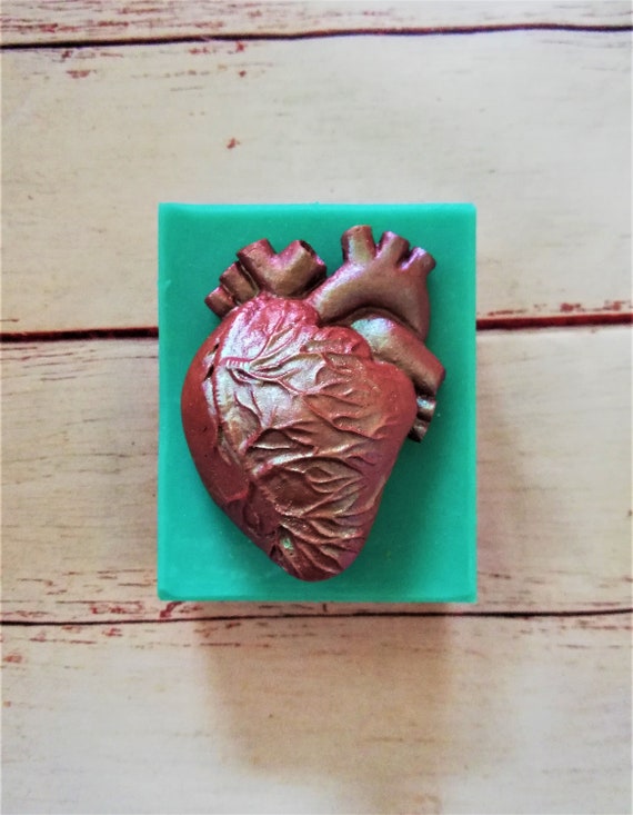 polymer clay tools epoxy mold heart silicone mold Anatomical mini heart