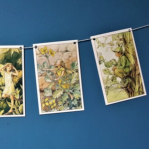 Flower Fairy Bunting Botanical Illustrations Cicely Mary Barker Green Elder Fairy Willow Fairy