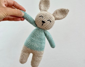 Bunny Plushie Amigurumi Crochet Pattern | Digital File PDF | English & Dutch | Stuffed Animal | Bunny Baby Toy Rattle Crochet Pattern