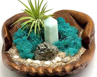 Hand-Carved Wooden Hands Air Plant Display with Amazonite, Crystal Desk Decor, Live Tillandsia Gift