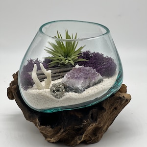 Genuine Amethyst Crystal Air Plant Terrarium, Hand Blown Glass DIY Terrarium Kit, Seascape Design with Coral, Glass Plant Centerpiece