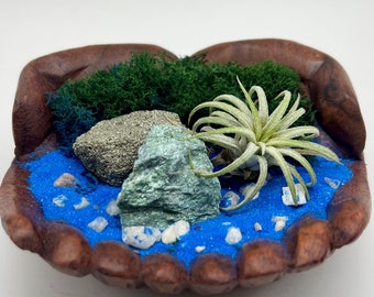 Beachy Air Plant Holder - Hand Carved Wood Caressing a Beach Inspired Oasis with a Fuchsite Crystal, Pyrite Gold Stone, and Fine Blue Sand