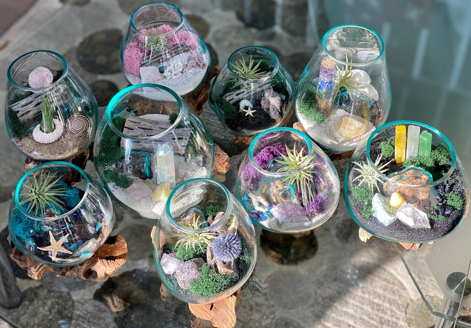 Air Plant Hand Blown Glass Terrarium Beach Theme Nature Etsy