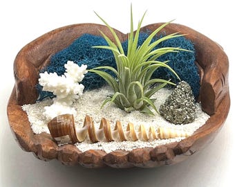 Hand-Carved Wooden Hands Air Plant Holder, Coastal Desk Decor, Pyrite Crystal, Office Gift