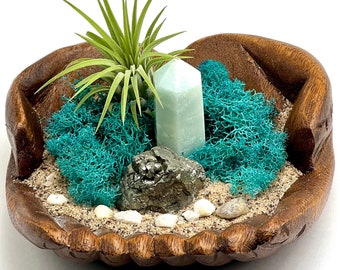 Coastal-Inspired Hand-Carved Wood Air Plant Holder Set with Amazonite Tower, Pyrite Gold Crystal, Preserved Moss, Sand and Pebbles