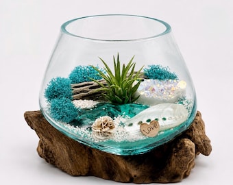 Hand-Blown Glass Air Plant Terrarium Kit – Angel Aura Crystal, Coastal Beach Decor