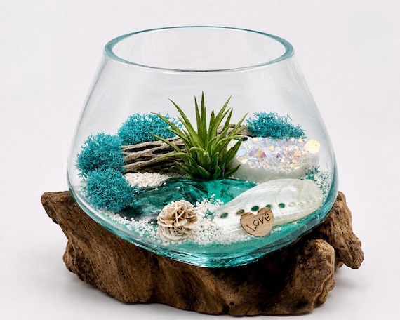 Hand-blown Glass Air Plant Terrarium Kit – Angel Aura Crystal