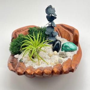 Sea Creature Air Plant Hanger, Tillandsia Holder. Hanging