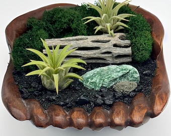 Hand-Carved Wooden Hands Air Plant Display | Fuchsite Crystal | Natural Desk Decor