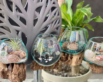 STMT DIY Crystal Terrarium Kit Gems, Essential Oils NEW