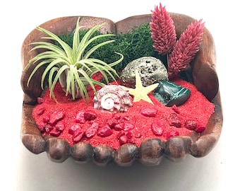 Holiday Beach Gift Air Plant Holder with Natural Pyrite Crystal Sphere, Malachite Stone and More!  Holiday Gift Idea