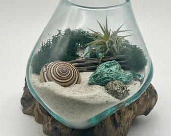 Hand-Blown Glass Air Plant Terrarium with Fuchsite & Pyrite | Natural Wood Desk Decor