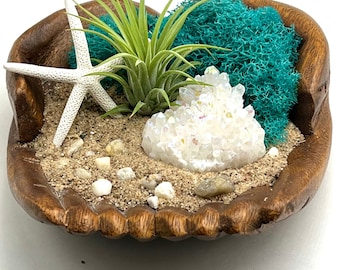 Air Plant Holder - Genuine Angel Aura Crystal with Nature’s Unique Coastal Decor, Crystal Accent Over Hand Carved Wood Hands