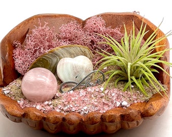 Pink Nautical Air Plant Display within Hand Carved Wood Hands and Natural Accents