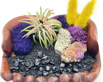 Hand-Carved Wooden Hands Air Plant Display | Peacock Ore & Pyrite | Natural Desk Decor