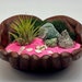 see more listings in the Beachy Air Plant Holders section