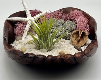 Hand-Carved Wooden Hands Air Plant Holder, Coastal Beach Desk Decor, Live Plant Gift