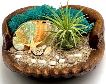 Coastal-inspired Hand Carved Wood Air Plant Holder for Plant Lovers - Featuring Limited Edition Multi Colored Unique Oyster Shell