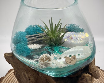 Hand-Blown Glass Air Plant Terrarium – Angel Aura Crystal, Beach Sand