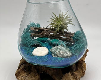 Hand Blown Glass DIY Air Plant Terrarium on Wood – Green Fuchsite Nature Display