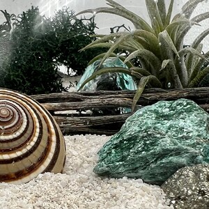 Air Plant Terrarium Hand Blown Glass Holder Featuring Fuchsite and Pyrite Gold Crystal image 2