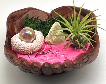 Hand Carved Wood with Air Plant, Angel Aura Quartz Sphere, Pink Sand, Green Preserved Moss, Pebbles, Shell, Charm, and Lime Green Quartz