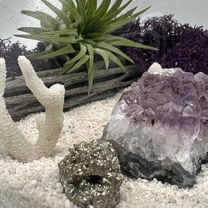 Genuine Amethyst Crystal Air Plant Terrarium, Hand Blown Glass DIY Terrarium Kit, Seascape Design with Coral, Glass Plant Centerpiece image 5