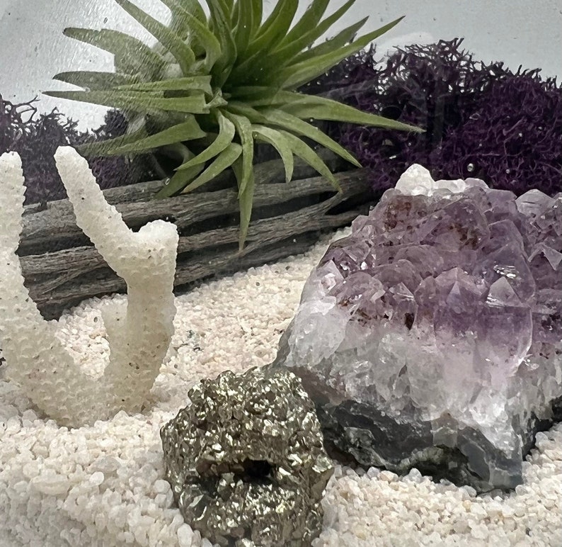 Genuine Amethyst Crystal Air Plant Terrarium, Hand Blown Glass DIY Terrarium Kit, Seascape Design with Coral, Glass Plant Centerpiece image 5