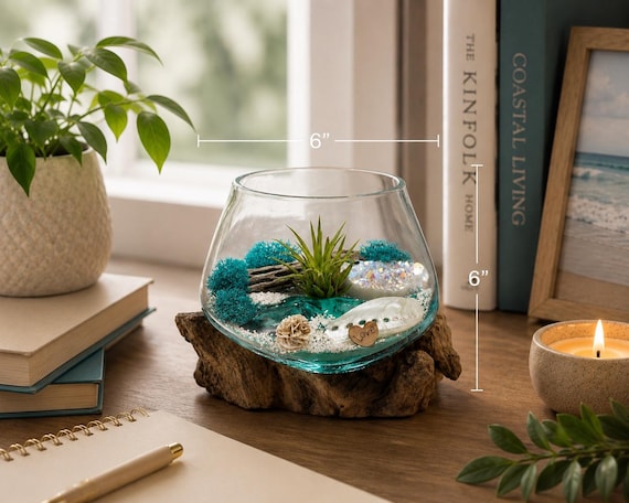 Hand-blown Glass Air Plant Terrarium Kit – Angel Aura Crystal