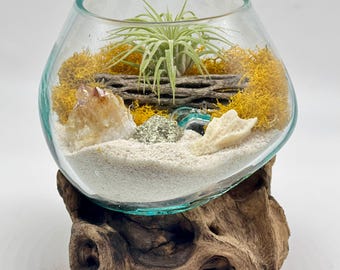 Hand-Blown Glass Air Plant Terrarium on Wood – Citrine & Pyrite Crystal Desktop Decor