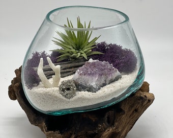 Genuine Amethyst Crystal Air Plant Terrarium, Hand Blown Glass DIY Terrarium Kit, Seascape Design with Coral, Glass Plant Centerpiece