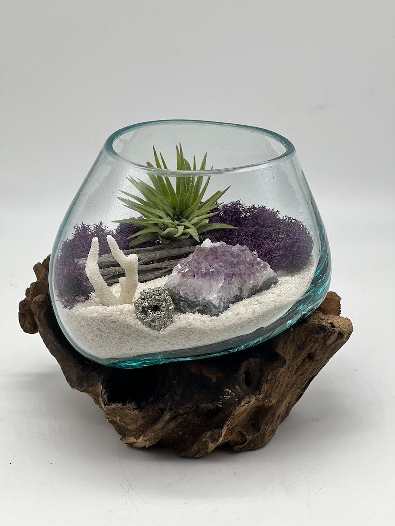 Genuine Amethyst Crystal Air Plant Terrarium, Hand Blown Glass DIY Terrarium Kit, Seascape Design with Coral, Glass Plant Centerpiece image 1