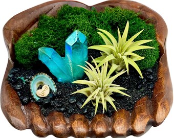 Hand-Carved Wooden Hands Air Plant Display | Blue Quartz Crystal | Coastal Desk Decor