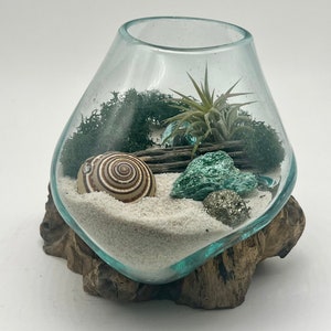 Air Plant Terrarium Hand Blown Glass Holder Featuring Fuchsite and Pyrite Gold Crystal image 1