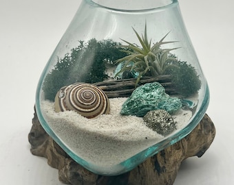 Air Plant Terrarium - Hand Blown Glass Holder Featuring Fuchsite and Pyrite Gold Crystal