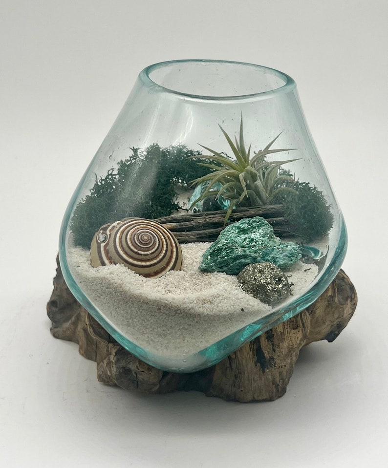 Air Plant Terrarium Hand Blown Glass Holder Featuring Fuchsite and Pyrite Gold Crystal image 1