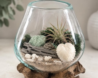 Coastal Air Plant Terrarium Kit, Hand-Blown Glass on Natural Wood Base, Beach Decor Gift