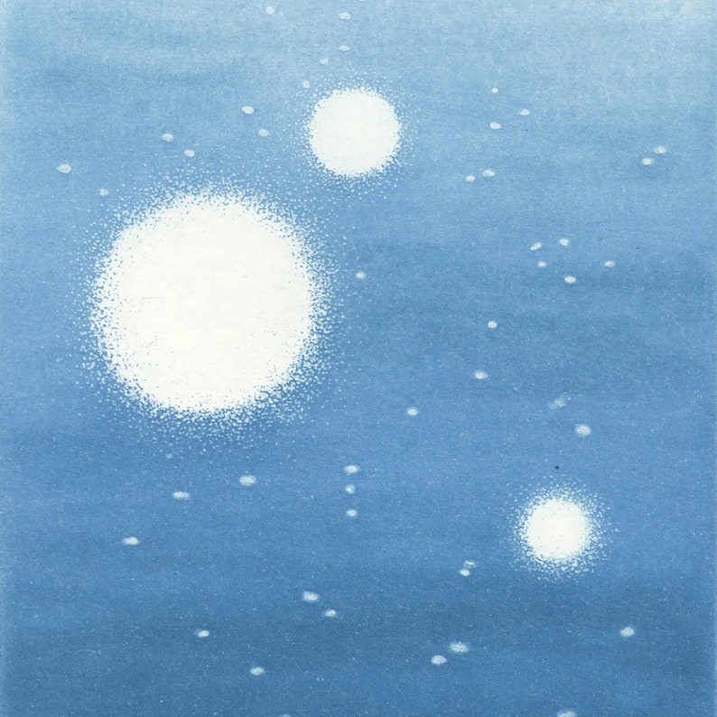 Sun Dazzle, Original Intaglio Print image 4