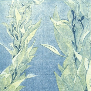 Monterey Bay Kelp, Original Intaglio Print image 3