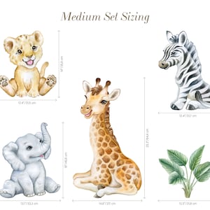 May include: A set of five watercolour animal illustrations, including a lion, giraffe, zebra, elephant, and a tropical plant. The illustrations are in a medium size, with the lion measuring 12.4 inches by 31.5 cm, the giraffe measuring 14.6 inches by 37 cm, the zebra measuring 12.4 inches by 31.7 cm, the elephant measuring 13.1 inches by 33.3 cm, and the plant measuring 12.5 inches by 31.8 cm.