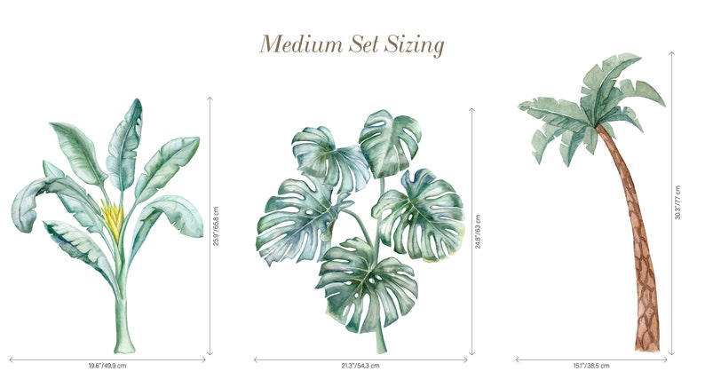 May include: Three watercolour illustrations of tropical plants, including a banana tree, a monstera plant, and a palm tree. The illustrations are labelled with their approximate dimensions in centimetres.