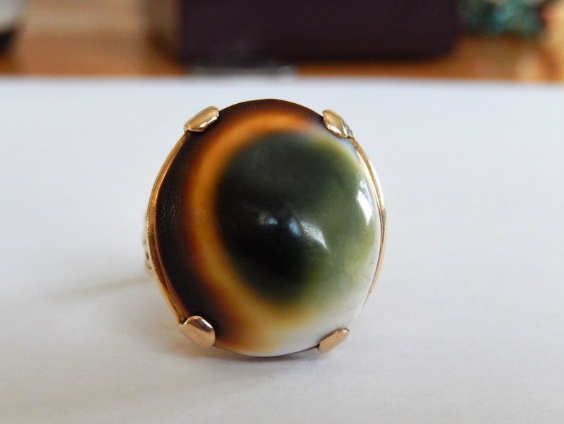 Vintage 14k Gold Operculum Shell Cats Eye Ring sz 7