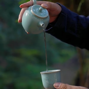 May include: A pale teal ceramic teapot pouring liquid into a matching teacup. The teapot has a rounded form with a lid and handle. The teacup is held in the foreground, with blurred green foliage in the background.