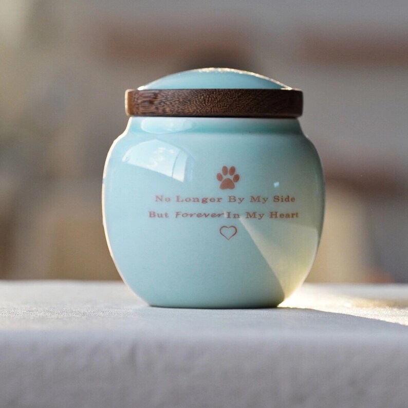 May include: A light blue ceramic pet urn with a wooden lid. The urn has a paw print and the text "No Longer By My Side But Forever In My Heart" in a light brown color.
